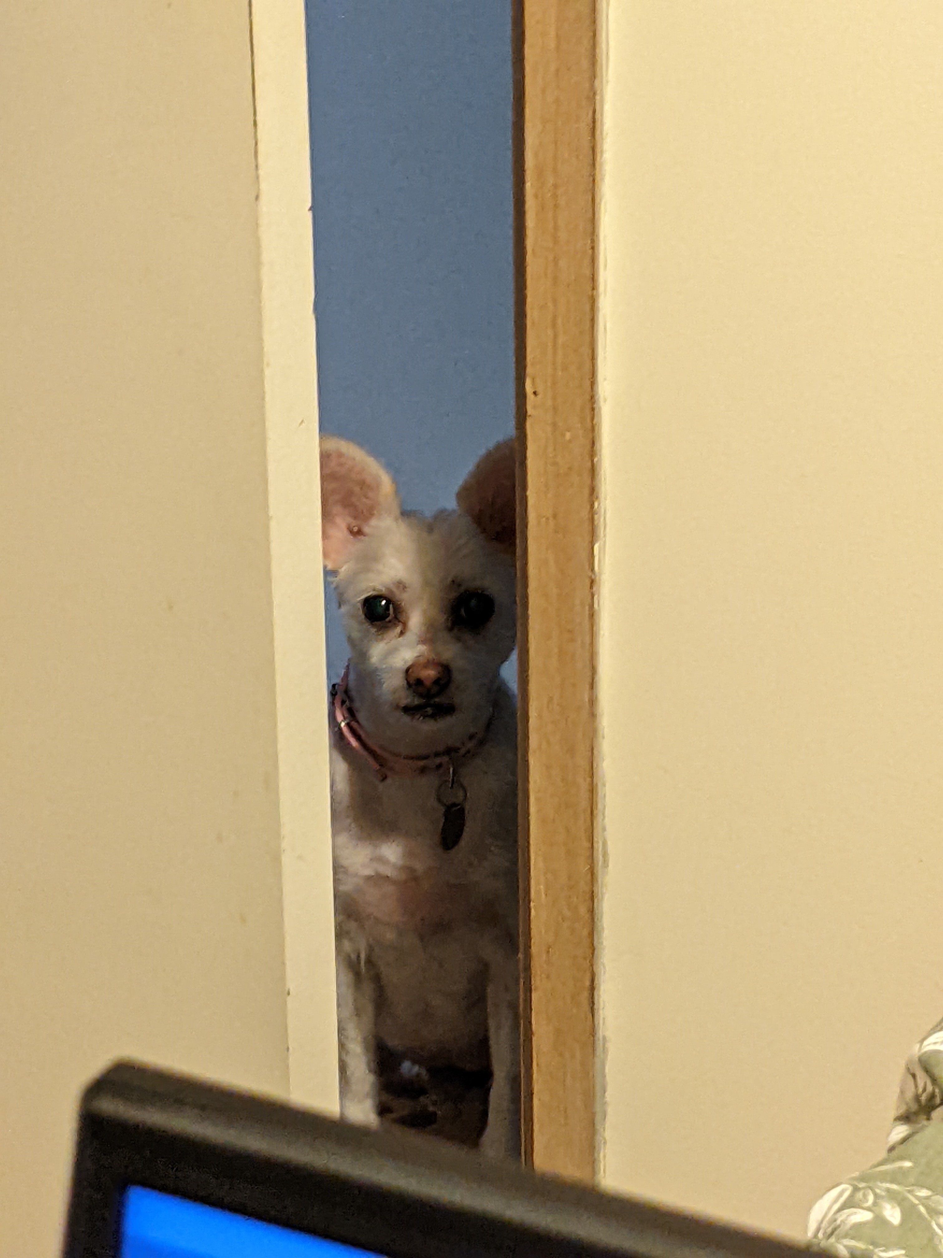 ...somebody's watching me/ And I have no privacy / 