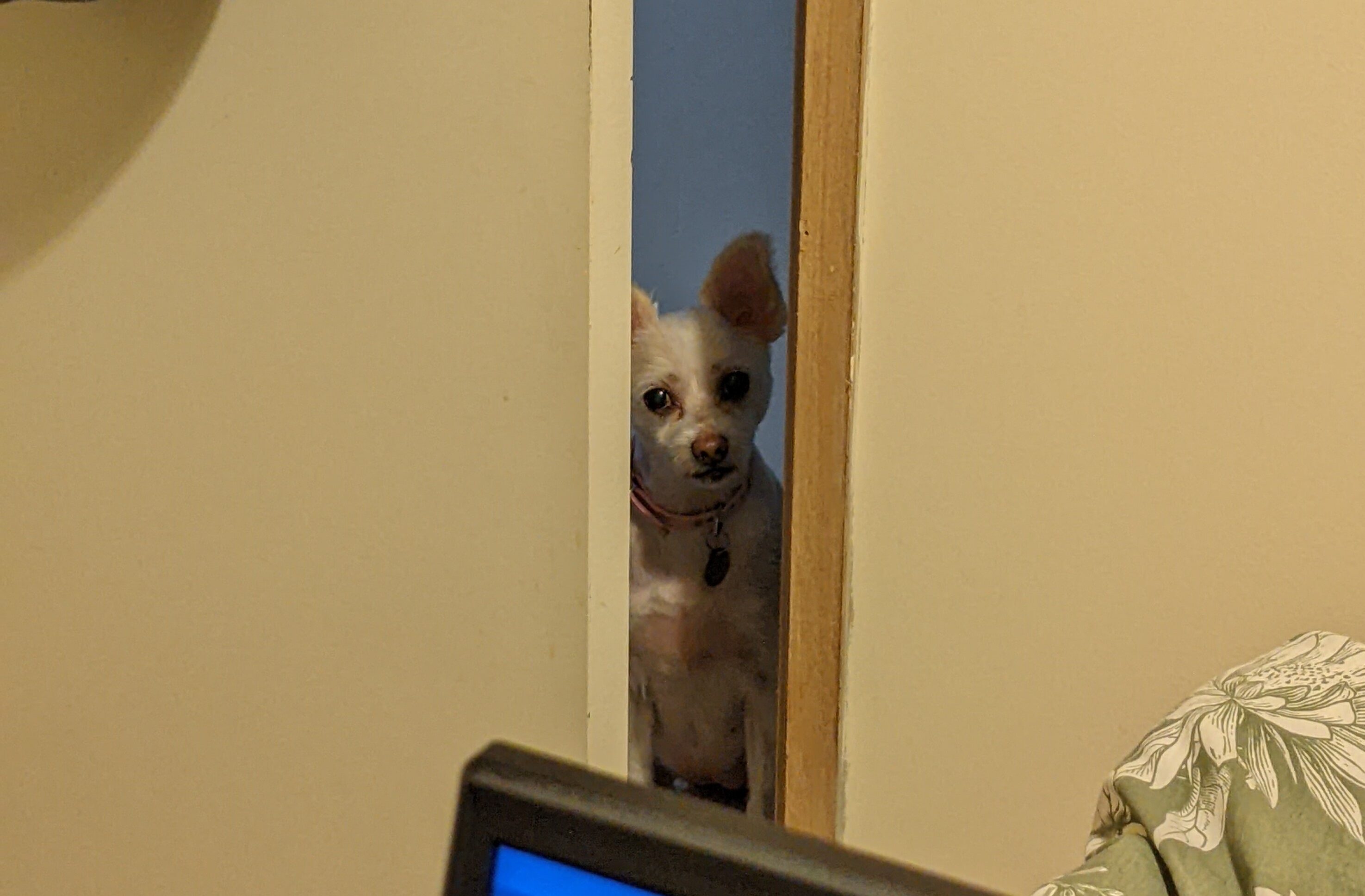  I swear she loves to see me startle