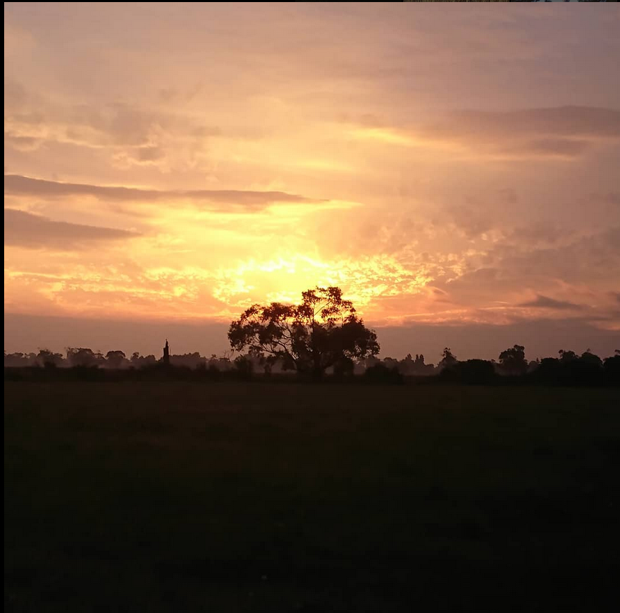 Country roads take me home